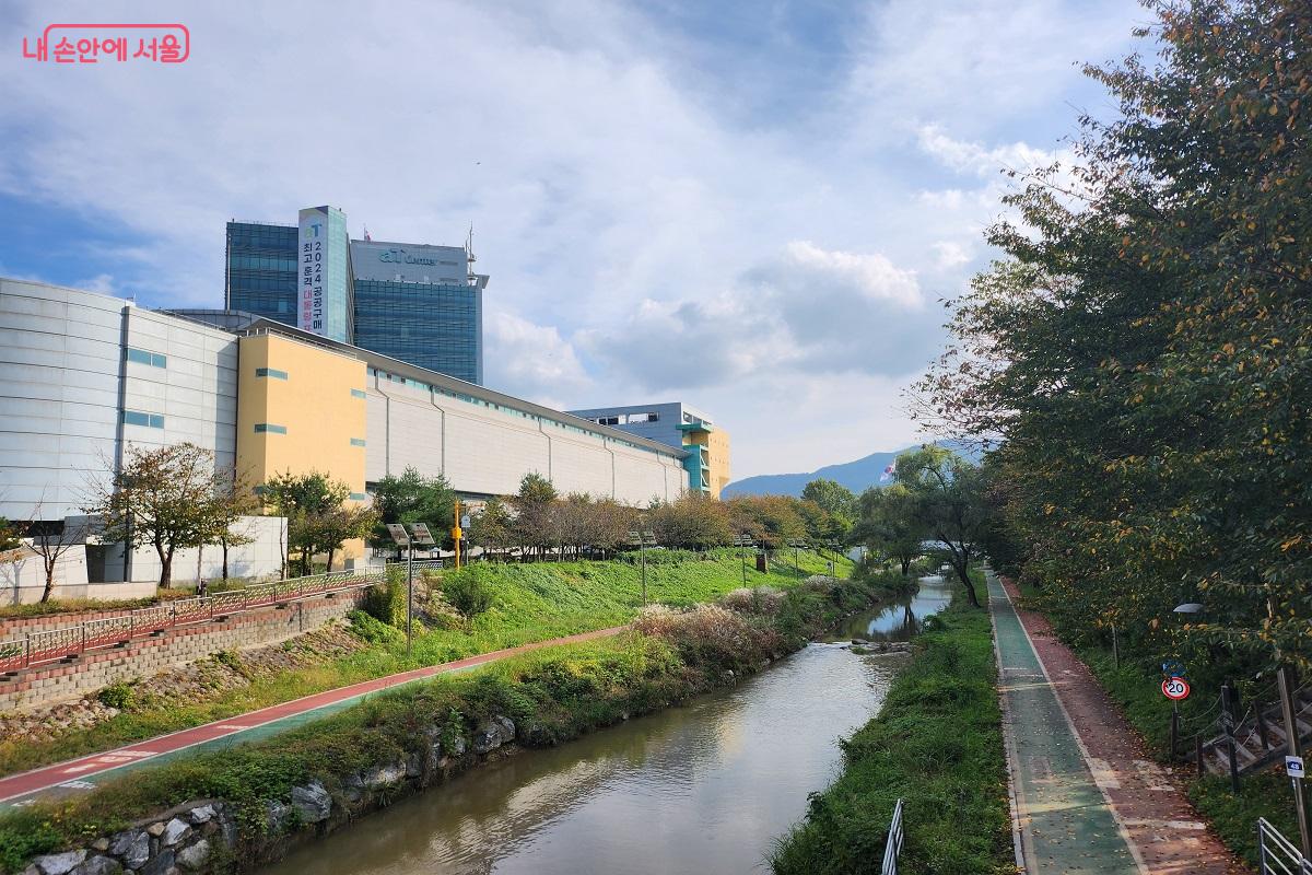 매헌시민의숲에서 나와 양재천을 따라 걸을 수도 있다. ©김진호