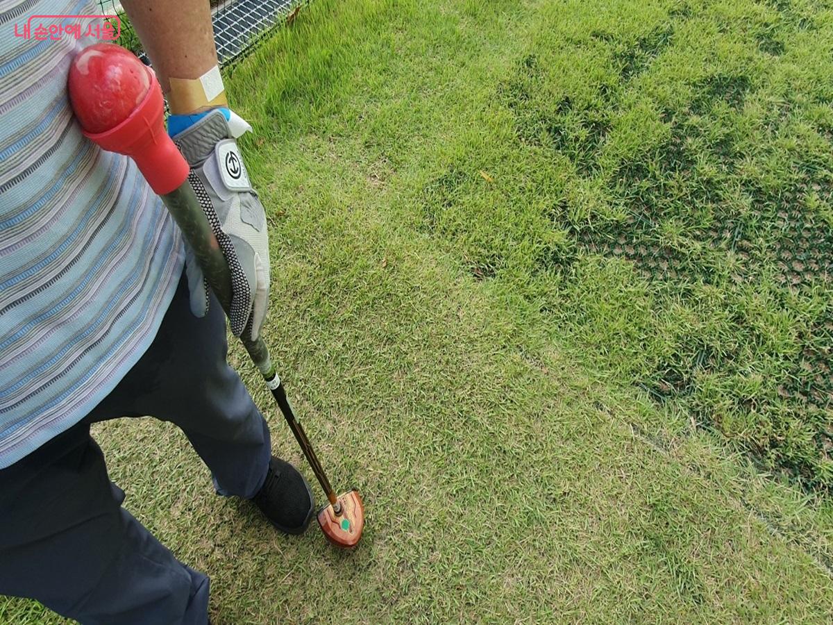 파크골프채와 파크골프공. 장비 휴대도 간편하다. ©김병규