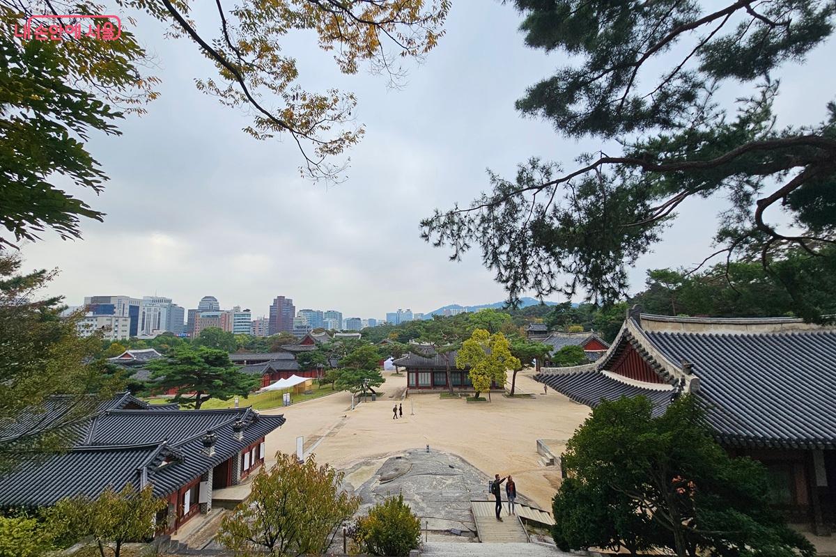 가을 햇살을 머금고 있는 창경궁 전경 ©권연주