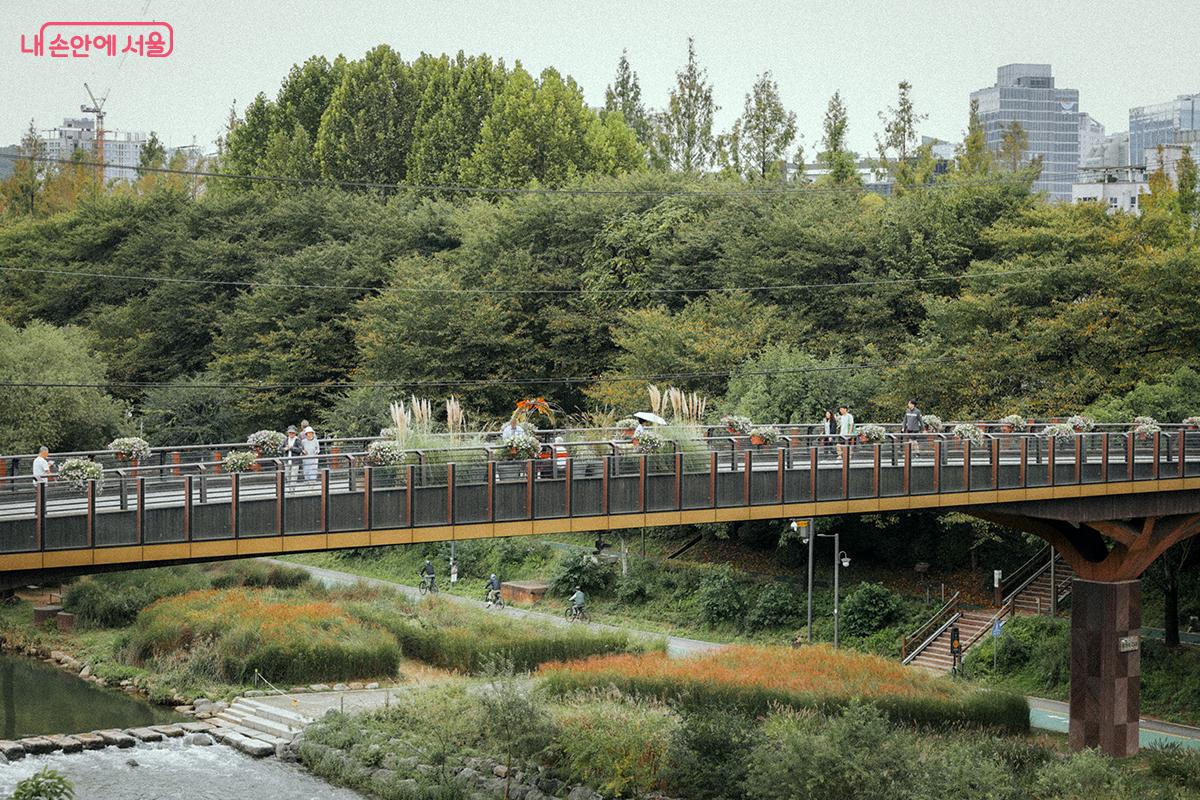 옥상에서 바라본 양재천보행자교 ©김아름