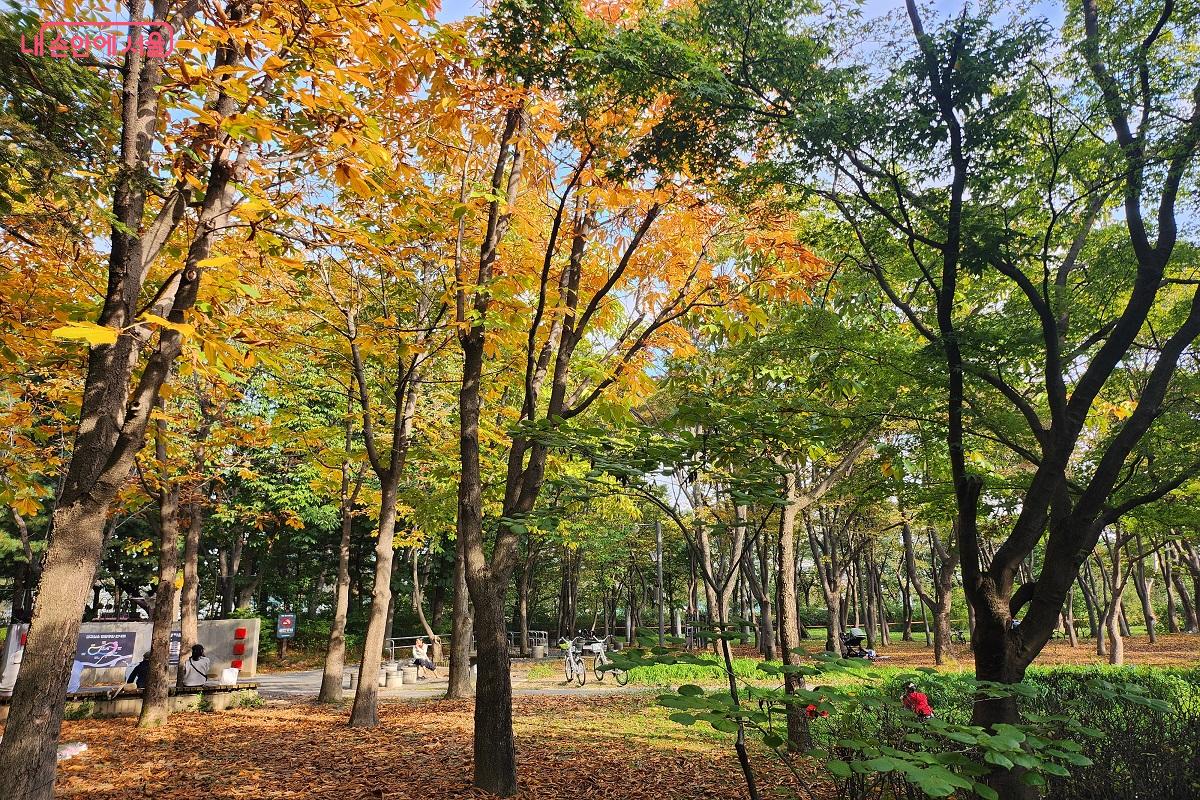 벌써 단풍이 물든 곳이 있다. ©김진호