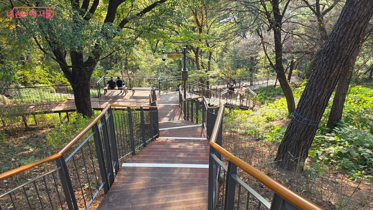 남산 하늘숲길은 나무 사이 빈 공간을 연결하여 자연 훼손을 방지토록 설계했다. ©최용수