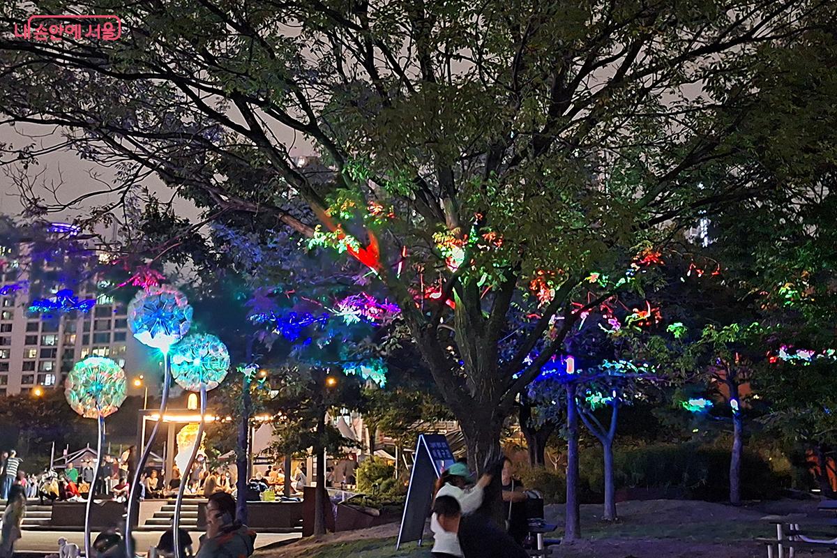 레이저 빛이 쏟아지는 숲 속에서 나무들과 정서적 교감을 느끼며 걷는 산책길은 영혼까지 맑아지는 체험을 할 수 있다.