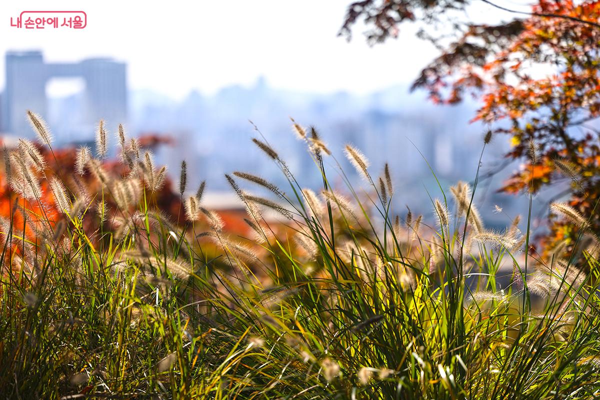 가을 감성 물씬 풍기는 공원의 풍경 ©김주연