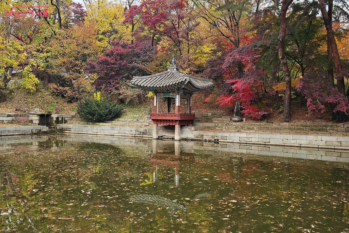 가을빛이 감싸는 애련지 일원 모습 ©권연주