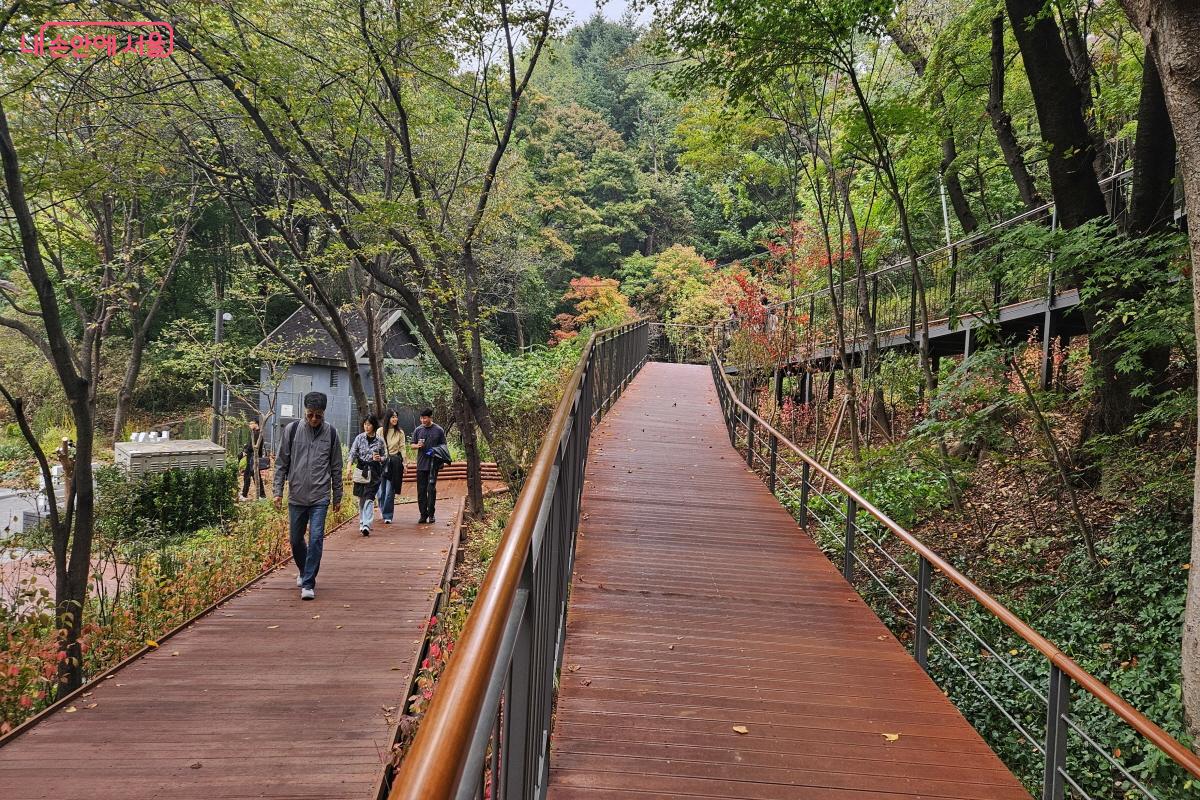 1.45km의 완만한 무장애 데크길이 시작되었다. ©이선미