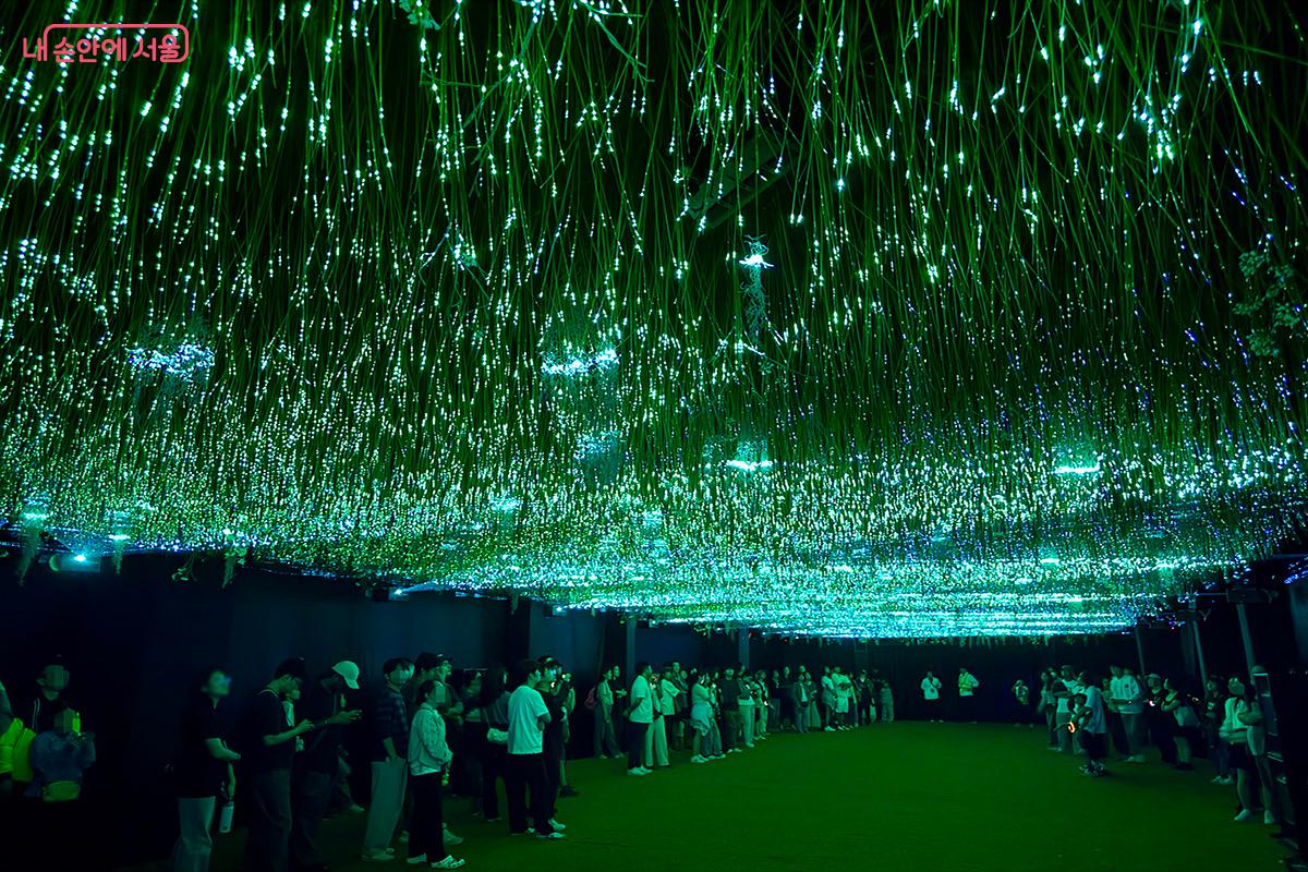 움직이는 레이저와 거꾸로 매달린 풀밭이 거대한 초원을 상상하게 하는 '우리가 초원을 떠난 날' ©김미정