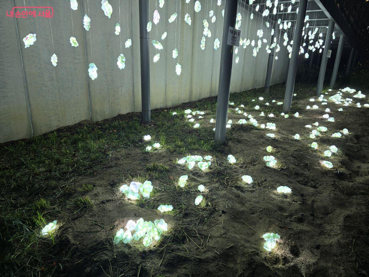 김연진 작가의 <언젠가 너와 나> ©김한기