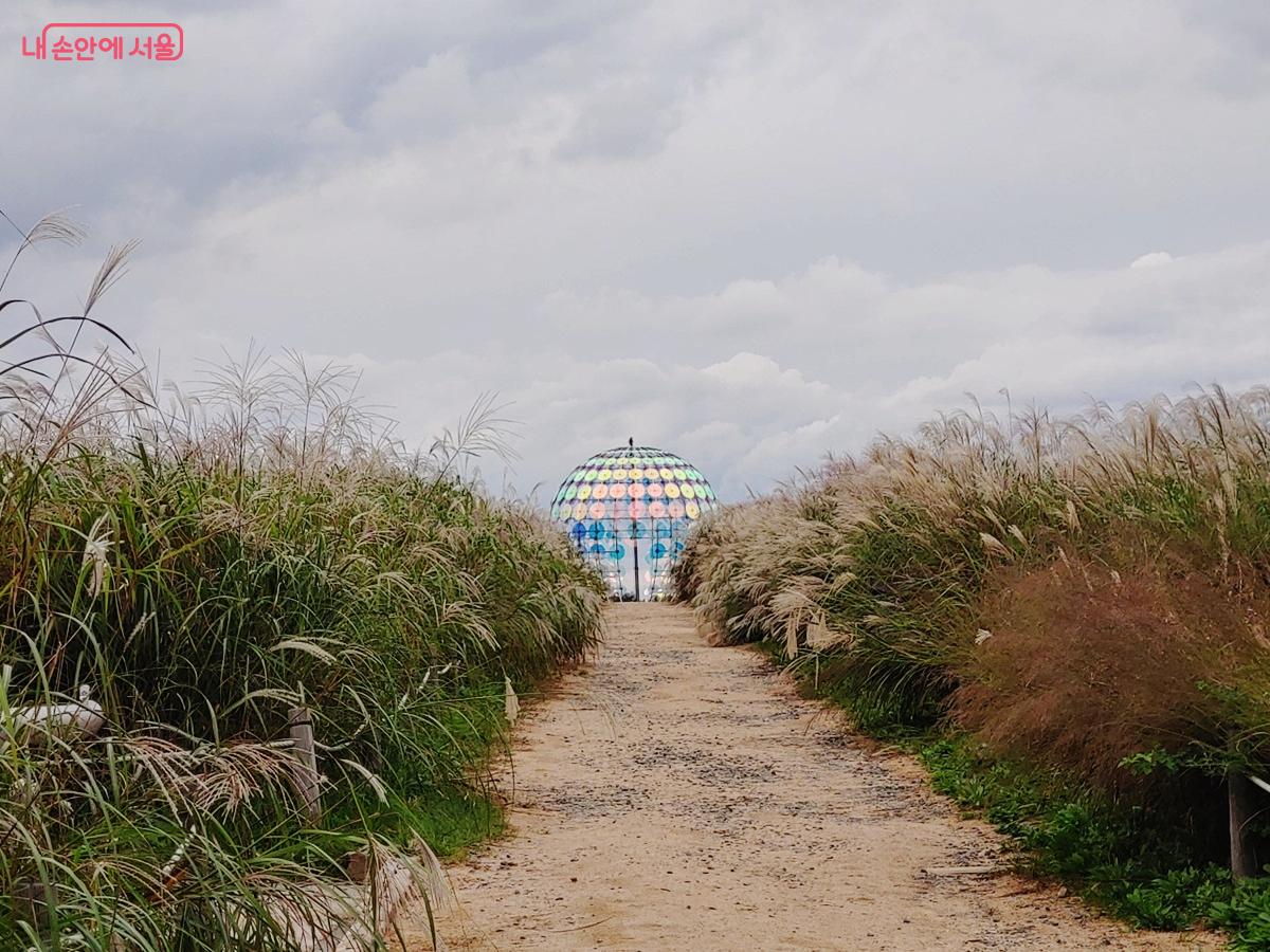 은빛 억새와 환상적으로 어우러진 정지연 작가의 <생명의 빛> ©김병규