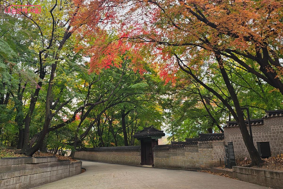 가을로 물들어 가는 왕실의 정원 '후원' 입구 ©권연주