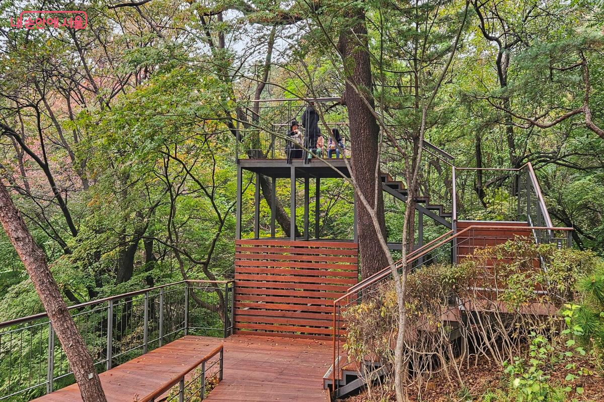 나무 위 원두막 같은 참나무전망대 ©이선미