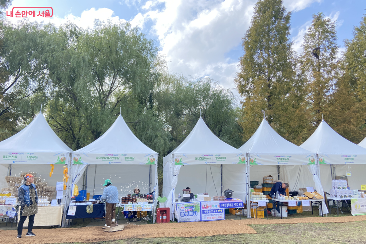 다양한 먹거리 부스가 마련된 서울바비큐페스타 축제 현장 ©김경선
