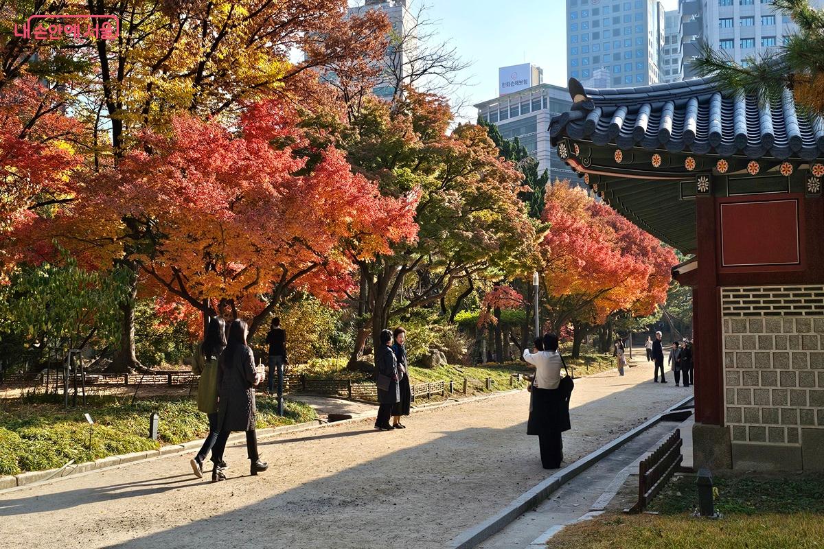 가을 햇살 맞으며 산책하기 딱 좋은 덕수궁 ©권연주