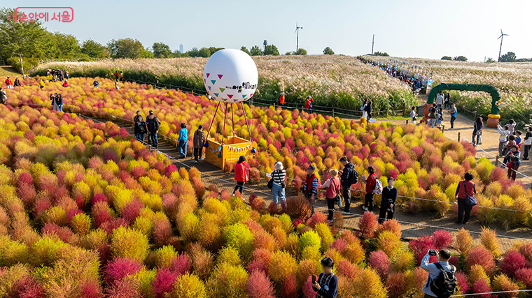 축제를 더욱 즐겁게 즐길 수 있도록 ‘포토존 스탬프 투어’도 함께 마련된다. 