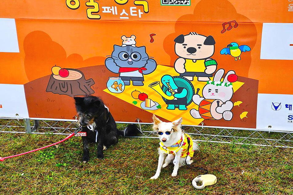 우리집 댕댕이와 헛둘헛둘~ 뜻깊은 '동물행복페스타' 참여 후기