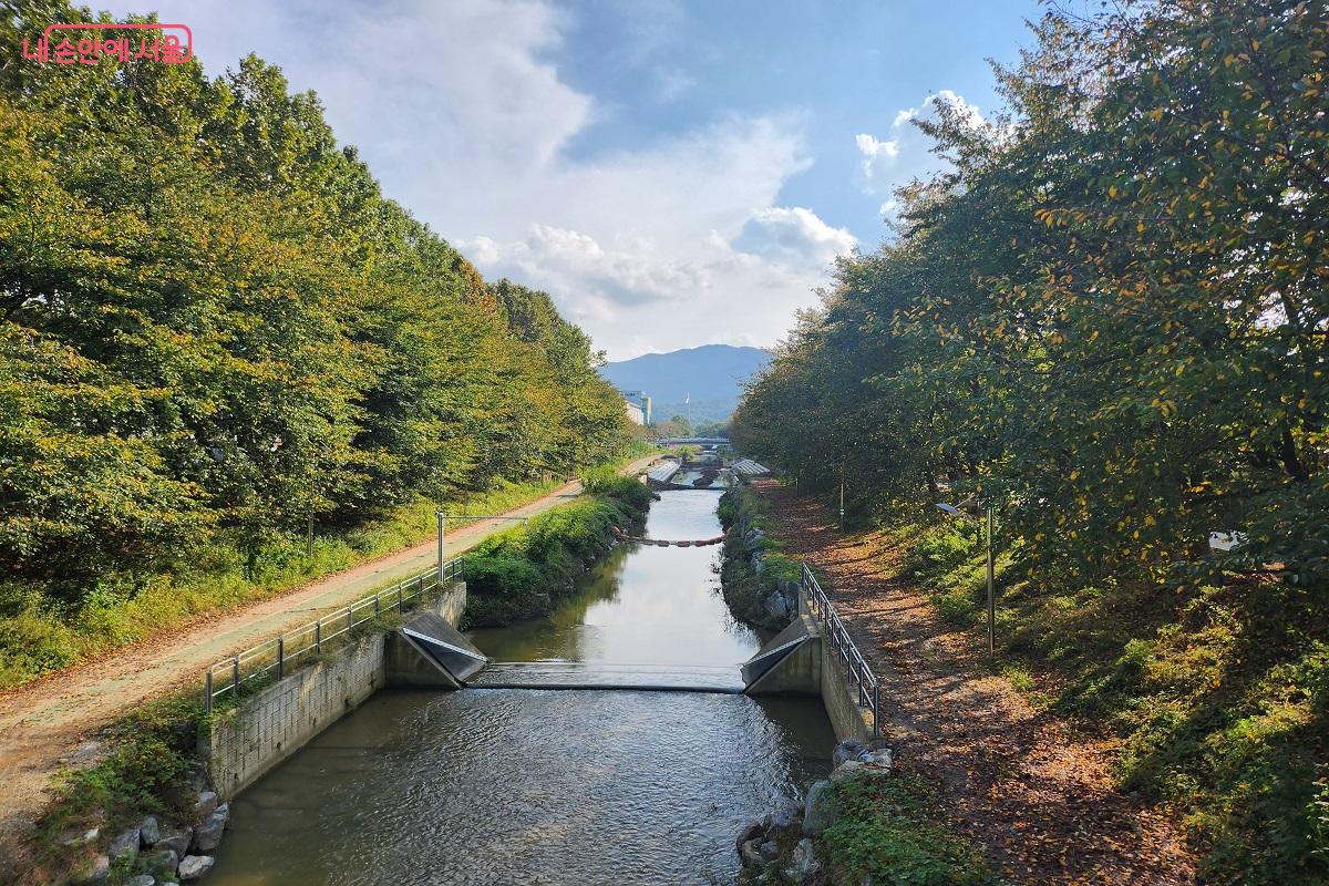 매헌시민의숲으로 향하는 길, 날씨가 화창하다. ©김진호