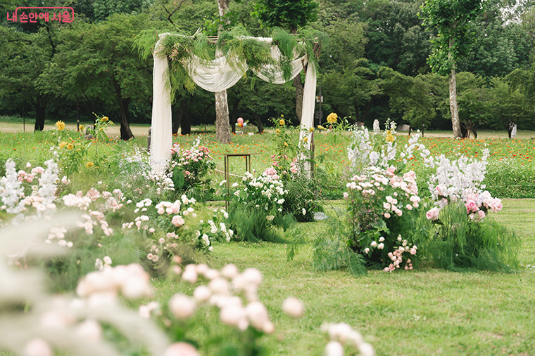 서울시가 신혼부부 결혼·살림 비용으로 최대 100만 원을 지원하는 시범사업을 추진한다. (사진은 공공예식장 어린이대공원 포시즌가든 모습)