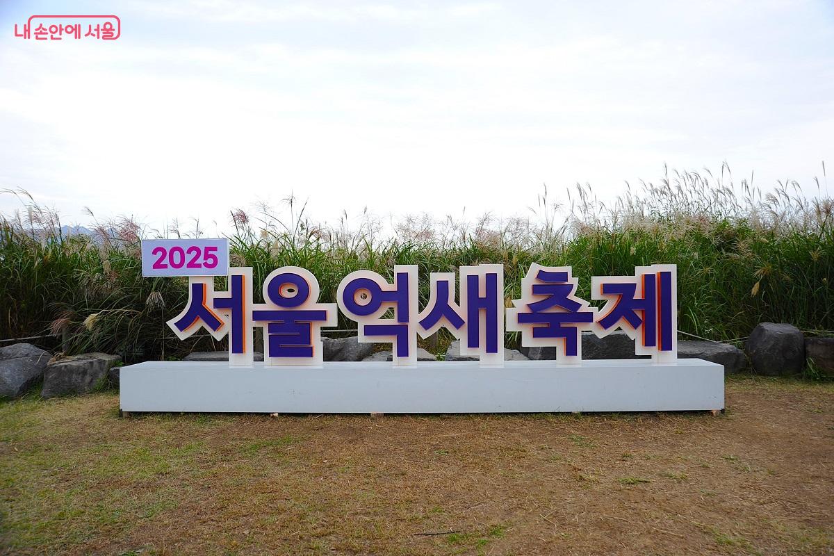 포토존 ‘서울억새축제’ ©조수봉