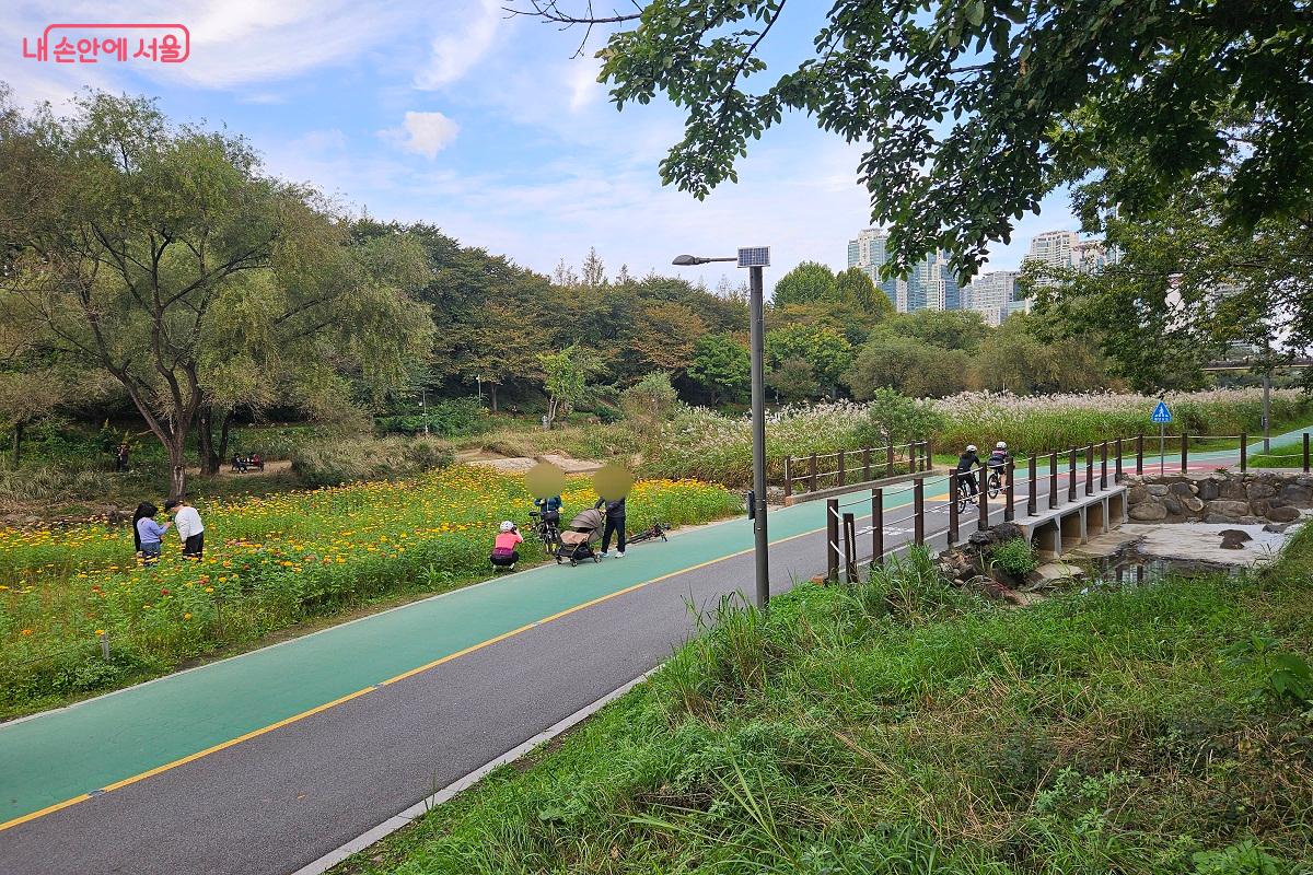 양재천 영동교 인근의 여유로운 산책길 풍경 ©김진호