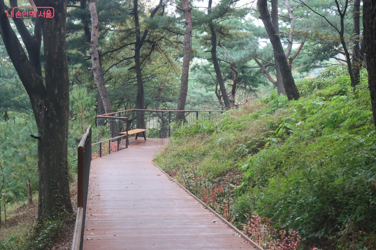 남산 체력단련장에서 남산도서관까지 이어지는 ‘남산 하늘숲길’ ©조송연 