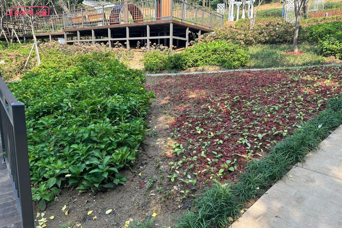 행복오름길은 무장애길로 편리하게 이용할 수 있다. ©김재형