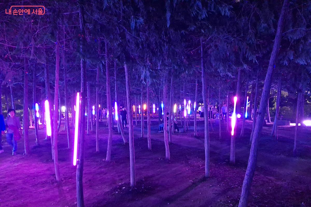 <숨쉬는 숲> 은 60여 그루 편백나무 숲을 빛의 매개로 하여 뚝섬한강공원을 치유와 휴식의 공간으로 재탄생기킨다.