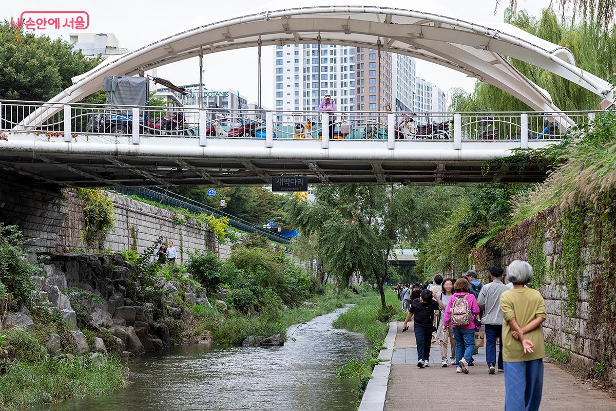 청계천의 새벽다리(구름다리)는 장통교 인근에 위치한 백색 아치형 보행자 전용 다리다. ©문청야