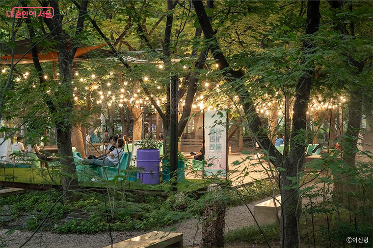 브로콜리 지역정보 관련 사진 12