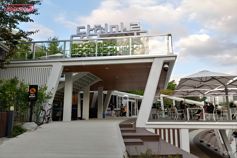 브로콜리 지역정보 관련 사진 19