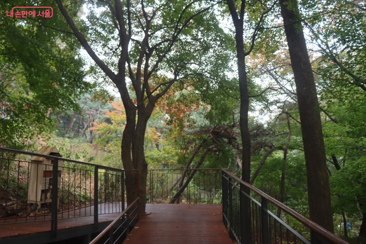 남산 하늘숲길의 또 다른 매력은 자연과의 ‘동행’에 있다. ©조송연