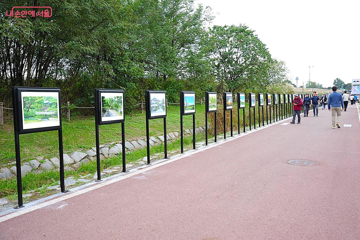 서부공원사진사들의 공원 촬영 작품이 전시된 ‘하늘공원 사진전’ ©조수봉