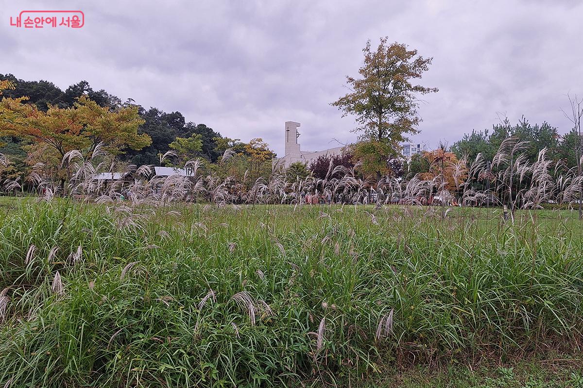 '율현의 밤' 축제는 '정원'이라는 공간이 우리 삶에 얼마나 큰 위로와 즐거움을 줄 수 있는지 깨닫게 해준 소중한 경험이었다. ©이혜숙