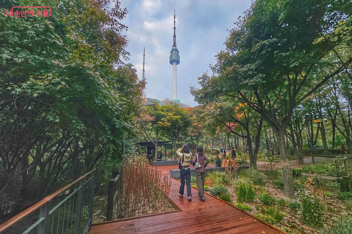 데크길을 걷다가 만나게 되는 소나무쉼터 ©이선미