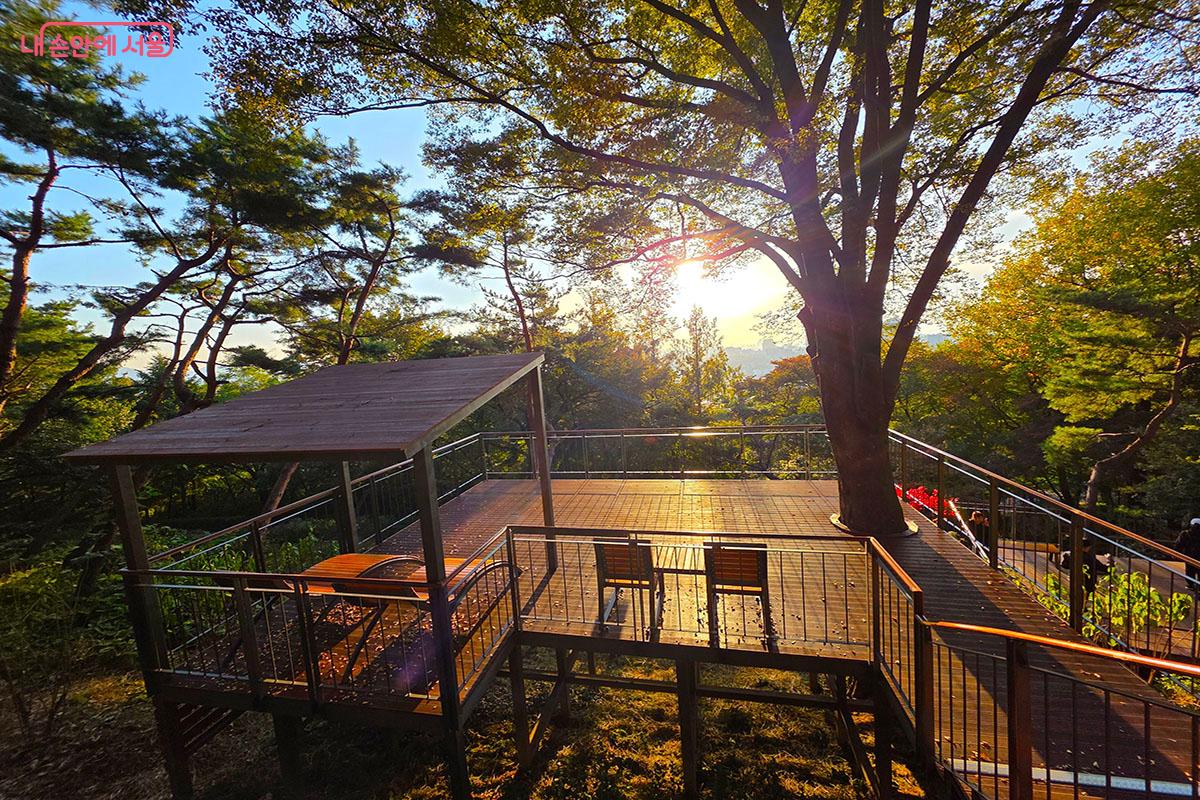 나무 위의 집을 연상하게 하며 휴식과 풍경을 즐길 수 있는 '느티나무 전망대' ©이정민