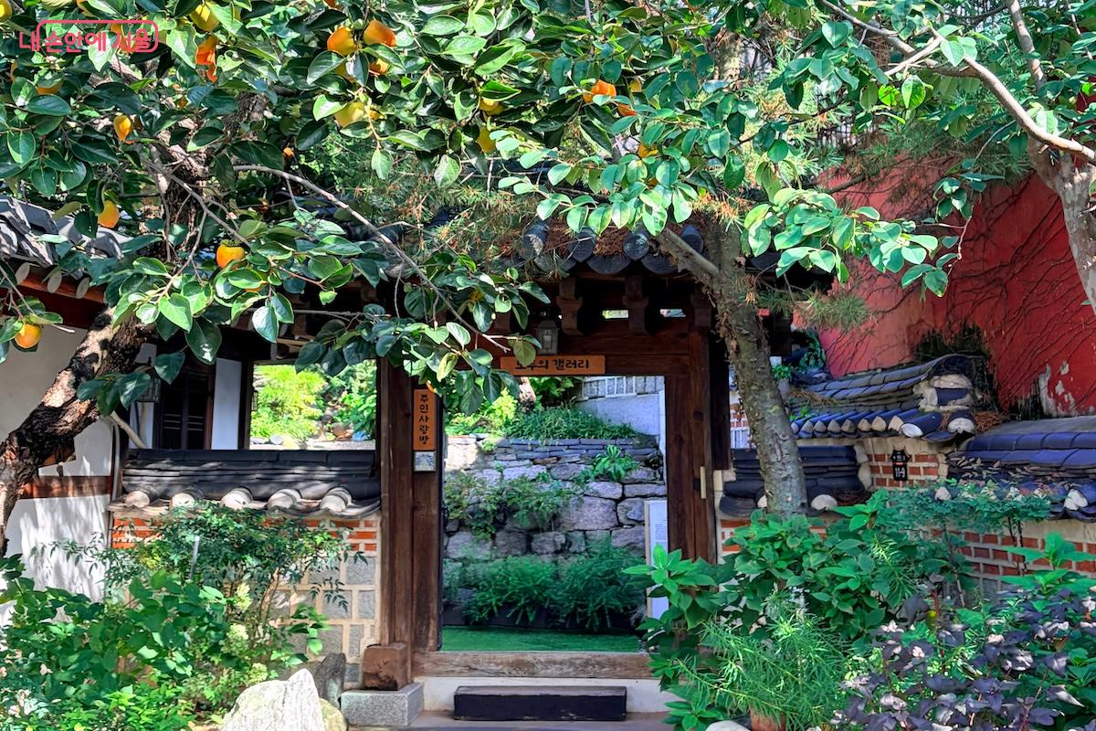 전통 한옥을 현대적 전시 공간으로 재탄생시킨 모두의갤러리 ©이종빈