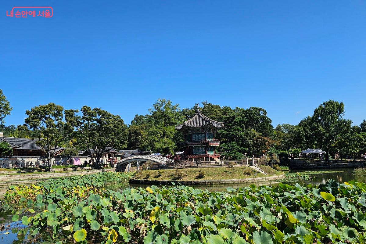 여름을 보내기 싫은 듯 여전히 푸른 향정원 일원 ©권연주