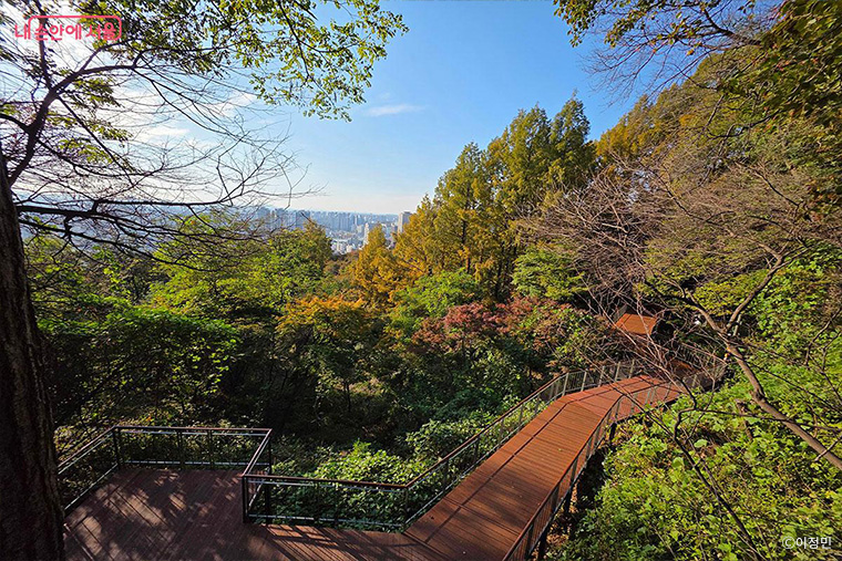 브로콜리 지역정보 관련 사진 7