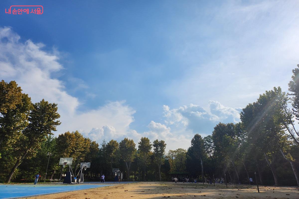 푸른 하늘은 영락없는 가을의 모습이다. ©김진호