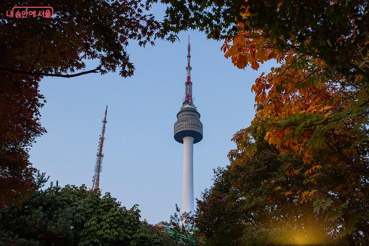 하늘이 짙은 푸른색으로 물들기 시작하는 일몰직후 매직아워의 숲길 전경. 숲의 실루엣 너머로 보이는 도심의 불빛이 낭만을 더한다. &copy;황재천