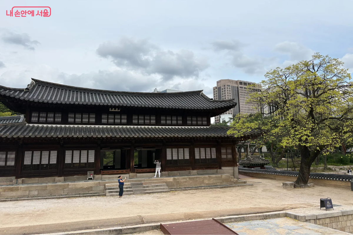 다른 건물들과 달리 수수한 목조 건물의 석어당. 석어당 옆쪽에는 큰 살구나무가 위치해 있다. ©이혜린