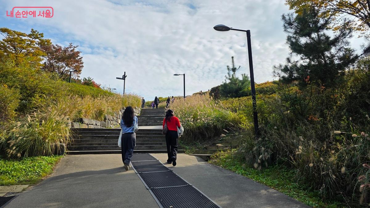 가을을 느끼려고 남산공원을 찾는 시민들 ©최용수