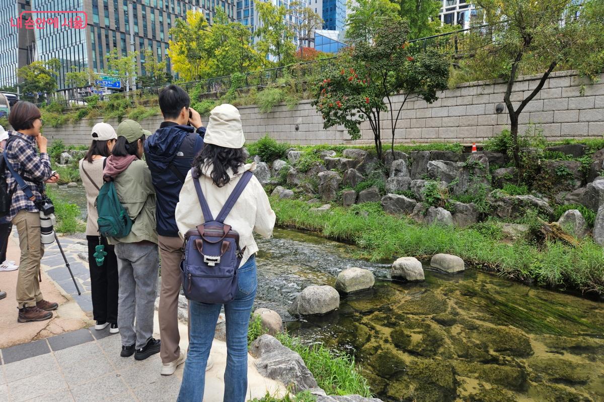 가막살나무 열매가 붉게 익어 예쁜 청계천 ©이선미