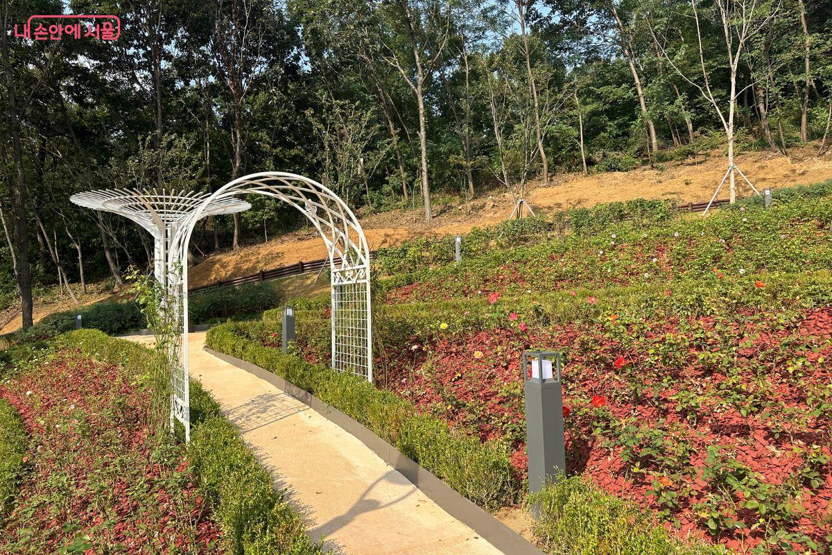 아름다운 꽃이 가득한 설렘정원 ©김재형