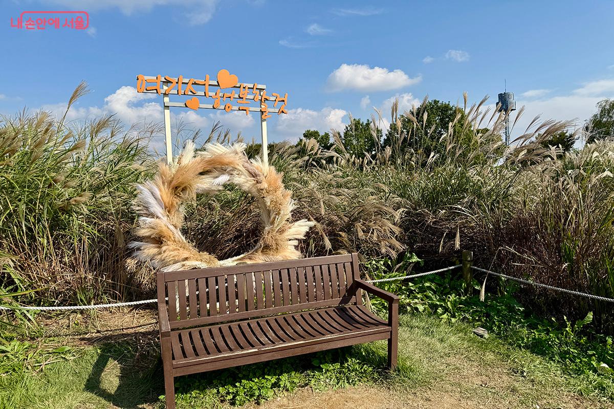 억새밭 곳곳에 위치한 포토존이 시민들에게 큰 인기를 끌었다. ©김미정