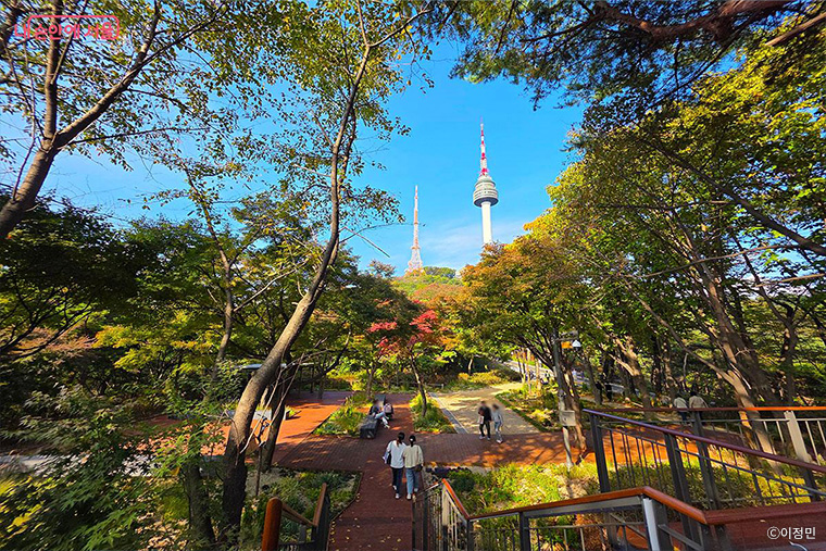 브로콜리 지역정보 관련 사진 6