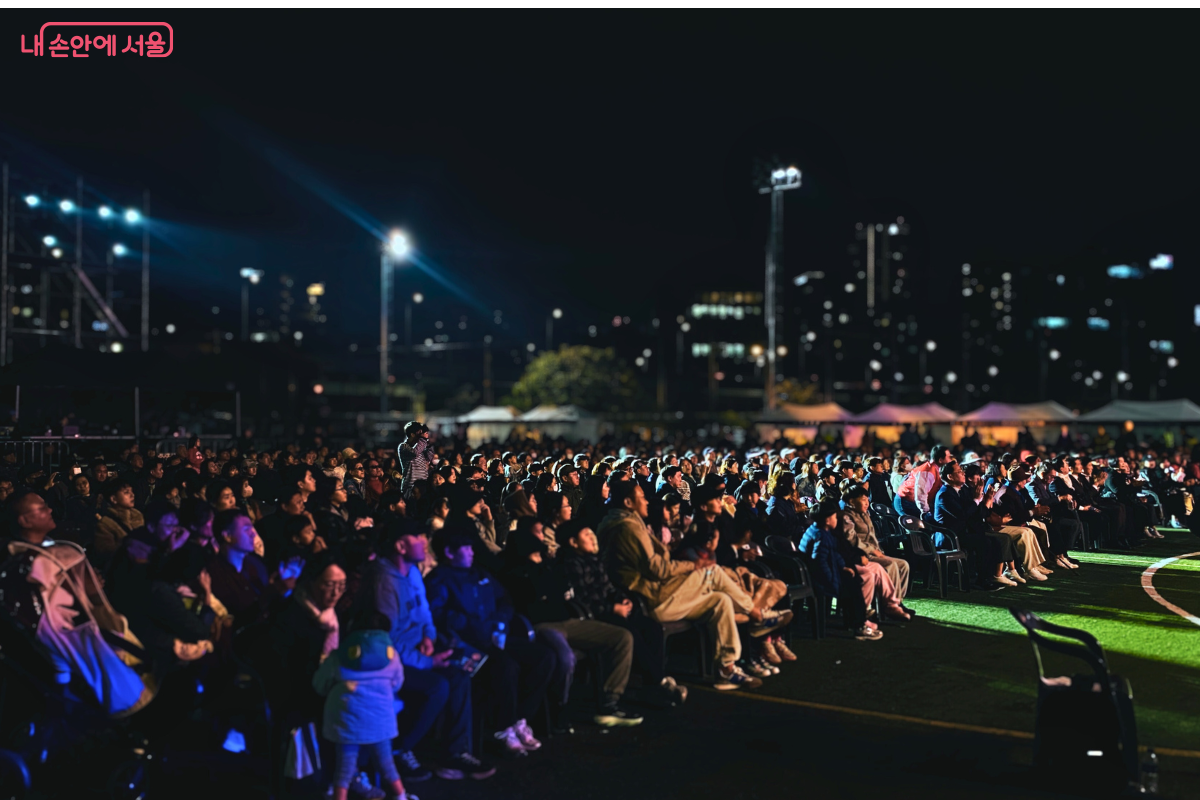 야간에 살곶이 체육공원 잔디밭에 마련된 객석을 가득 메운 시민들의 모습. 많은 관객이 무대를 향해 앉아 '태조 이성계 축제' 공연을 집중해서 관람하고 있다.