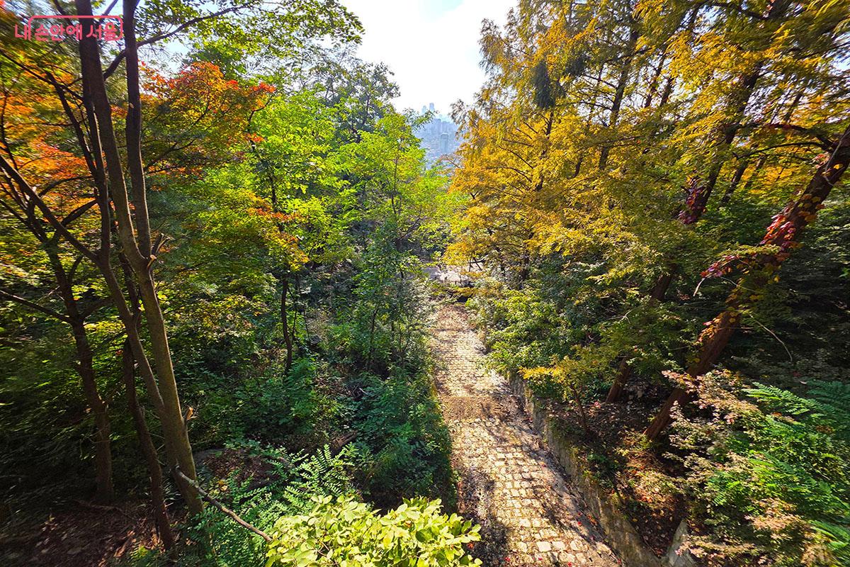 남산의 아름다운 자연풍경을 담을 수 있는 '하늘전망다리' ©이정민