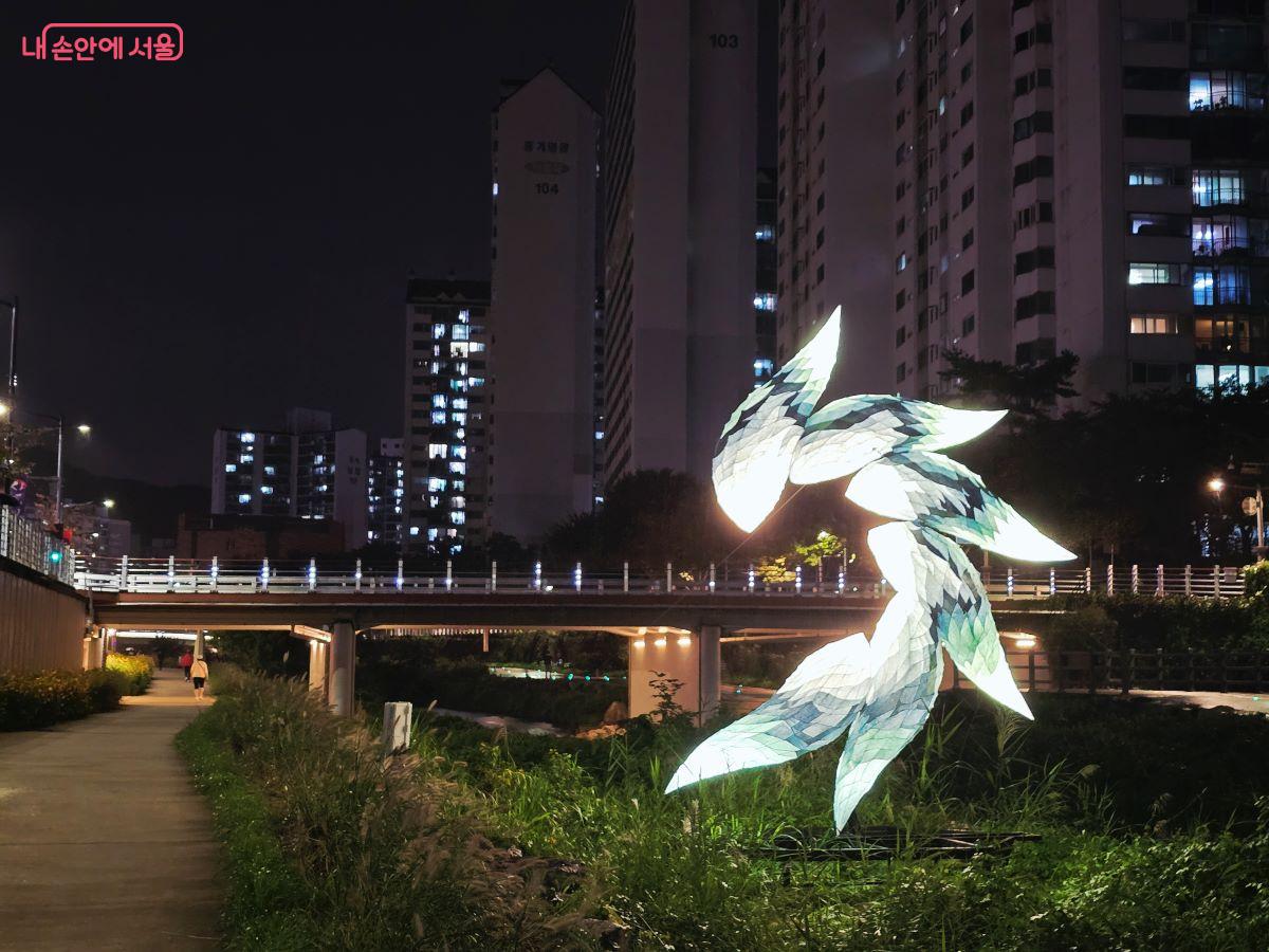 전스튜디오의 작품 < 조화(Harmony)> ©김한기