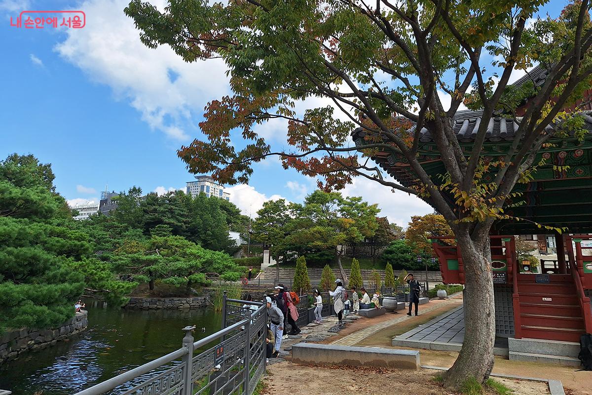 푸릇한 나무와 한옥이 조화를 이루는 남산골한옥마을 정원 ©정향선