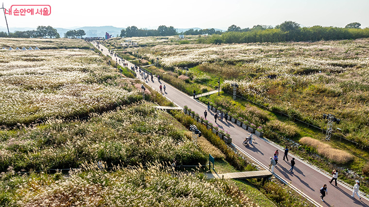 억새밭 곳곳에 마련된 포토존에서는 누구나 멋진 인생 사진을 남길 수 있다. 